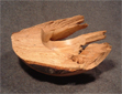 Buche-Windbruch-01.kl