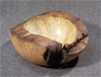 Esche-Naturrand-01-kl