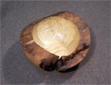 Esche-Naturrand-kl02