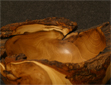 SCHALEN_03_1_KL