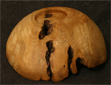 SCHALEN_18_1_KL