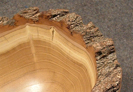 Schale-Akazie-Naturrand-44-03-gr