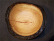 Schale-Kirsche-Naturrand-59-01-kl