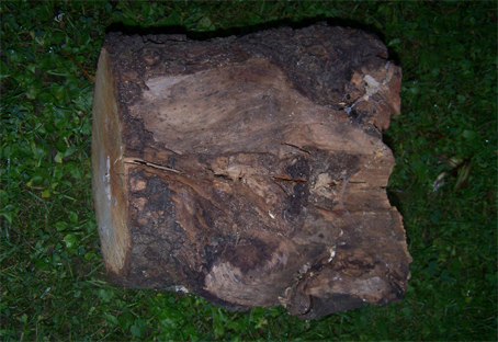 Zwetschge-Kugel-62-03-gr